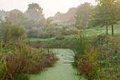 MARCHANTS HARDY PLANTS, EAST SUSSEX: LAKE AT THE END OF THE GARDEN, WATER, POOL, NATURAL, POND, LAKE, MORNING, MIST