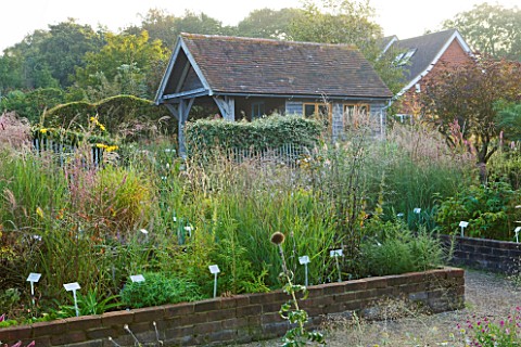 MARCHANTS_HARDY_PLANTS_EAST_SUSSEX_THE_NURSERY__RAISED_BEDS_WITH_PLANTS_AND_NURSERY_SHED
