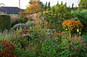 MARCHANTS HARDY PLANTS, EAST SUSSEX: HERBACEOUS BORDER WITH GRASSES, HELENIUMS, PERSICARIA, ENGLISH, COUNTRY, GARDEN