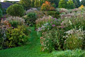 MARCHANTS HARDY PLANTS, EAST SUSSEX: GRASS PATH WITH HERBACEOUS BORDER OF GRASSES AND PERENNIALS. COUNTRY, GARDEN, ENGLISH