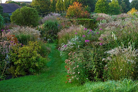 MARCHANTS_HARDY_PLANTS_EAST_SUSSEX_GRASS_PATH_WITH_HERBACEOUS_BORDER_OF_GRASSES_AND_PERENNIALS_COUNT