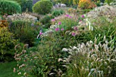 MARCHANTS HARDY PLANTS, EAST SUSSEX: GRASS PATH WITH HERBACEOUS BORDER OF GRASSES AND PERENNIALS. COUNTRY, GARDEN, ENGLISH