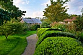 MARCHANTS HARDY PLANTS, EAST SUSSEX: GRAVEL PATH BESIDE LAWN AND BOX HEDGE. HEDGING, BUXUS, CLIPPED, COUNTRY, GARDEN, ENGLISH, BOUNDARY, BOUNDARIES