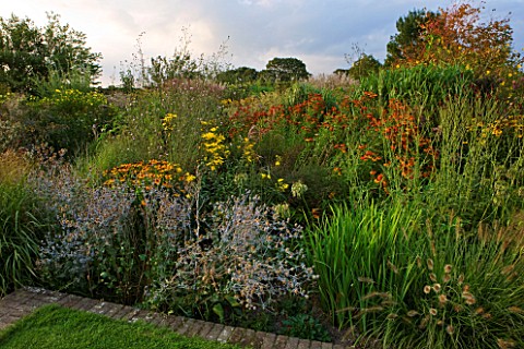 MARCHANTS_HARDY_PLANTS_EAST_SUSSEX_HERBACEOUS_BORDER_WITH_PERENNIALS_AND_GRASSES_HELENIUMS_COUNTRY_E
