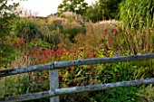 MARCHANTS HARDY PLANTS, EAST SUSSEX: WOODEN FENCE AND BORDER WITH SANGUISORBA AND GRASSES. COUNTRY, GARDEN, ENGLISH, HERBACEOUS, FLOWERS, FLOWERING