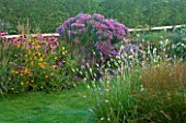 MARCHANTS HARDY PLANTS, EAST SUSSEX: LAWN AND BORDER WITH ASTERS, ECHINACEAS AND ORANGE GEUM. COUNTRY, GARDEN, LATE SUMMER, AUTUMN, FLOWERS, FLOWERING, HERBACEOUS