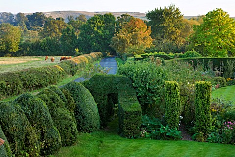 WOOLSTONE_MILL_HOUSE_OXFORDSHIRE_VIEW_ACROSS_THE_GARDEN_WITH_YEW_HEDGES__TAXUS_BACCATA_HEDGE_STRUCTU