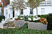 PRIVATE GARDEN LONDON: DESIGNER STEPHEN WOODHAMS - TOWN GARDEN - FRONT GARDEN - WOODEN SEAT / BENCH AND TWO LARGE CLAY CONTAINERS PLANTED WITH CORNUS KOUSA VAR CHINENSIS