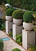 PRIVATE GARDEN LONDON: DESIGNER STEPHEN WOODHAMS - TOWN GARDEN - FRONT GARDEN - THREE CLIPPED BOX SHAPES IN CONTAINERS ON CLAY PLINTHS, MODERN, CONTEMPORARY, FORMAL GARDEN