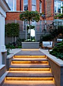 PRIVATE GARDEN LONDON: DESIGNER STEPHEN WOODHAMS - TOWN GARDEN - BACK GARDEN STEPS WITH LIGHTING UP TO RAISED BED PLANTED WITH PLATINUS X ACERIFOLIA. FORMAL, CITY GARDEN, TRELLIS