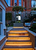 PRIVATE GARDEN LONDON: DESIGNER STEPHEN WOODHAMS - TOWN GARDEN - BACK GARDEN - STEPS WITH LIGHTING UP TO RAISED BED PLANTED WITH PLATINUS X ACERIFOLIA. FORMAL, CITY GARDEN, TRELLIS