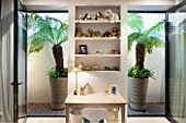 DESIGNER STEPHEN WOODHAMS, LONDON: BASEMENT LIGHT WELL WITH TWO CONTAINERS OF TREE FERNS. POTS, GREEN, FOLIAGE, INSIDE OUT, INDOOR