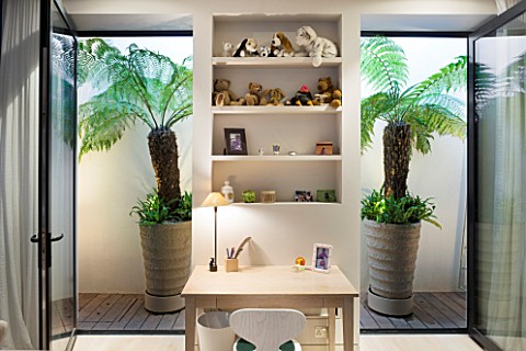 DESIGNER_STEPHEN_WOODHAMS_LONDON_BASEMENT_LIGHT_WELL_WITH_TWO_CONTAINERS_OF_TREE_FERNS_POTS_GREEN_FO