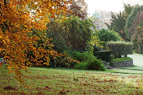 HOLKER_HALL__CUMBRIA_THE_HALL_SEEN_FROM_THE_WOODLAND__WITH_BEECH_TREE_IN_FOREGROUND___AUTUMN