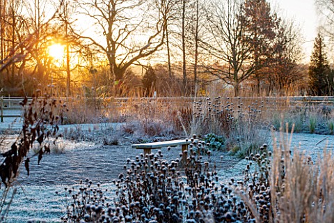 ELLICAR_GARDENS_NOTTINGHAMSHIRE_GRASSES_AND_WOODEN_BENCH_WITH_VIEW_ACROSS_THE_POOL_AT_SUNRISE_WINTER