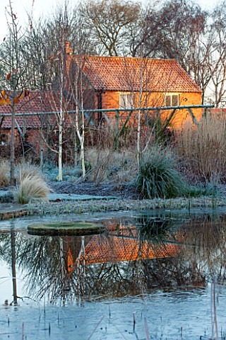ELLICAR_GARDENS_NOTTINGHAMSHIRE_VIEW_ACROSS_THE_NATURAL_SWIMMING_POOL_IN_WINTER_WITH_REFLECTION_OF_H