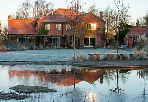 ELLICAR_GARDENS_NOTTINGHAMSHIRE_VIEW_ACROSS_THE_NATURAL_SWIMMING_POOL_IN_WINTER_WITH_REFLECTION_OF_H