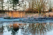ELLICAR GARDENS, NOTTINGHAMSHIRE: VIEW ACROSS THE NATURAL SWIMMING POOL IN WINTER WITH REFLECTIONS, FROST