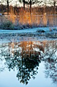 ELLICAR GARDENS, NOTTINGHAMSHIRE: VIEW ACROSS THE NATURAL SWIMMING POOL IN WINTER WITH REFLECTIONS, FROST