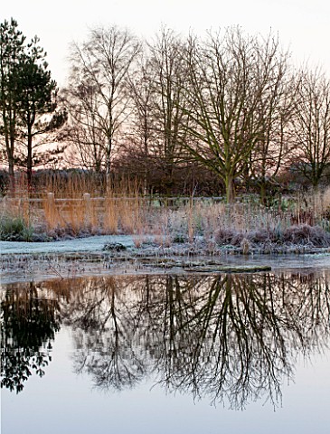 ELLICAR_GARDENS_NOTTINGHAMSHIRE_VIEW_ACROSS_THE_NATURAL_SWIMMING_POOL_IN_WINTER_WITH_REFLECTIONS_FRO