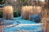 ELLICAR GARDENS, NOTTINGHAMSHIRE: GRASS PATH IN FROST WINDS PAST GRASSES AND SEEDHEADS IN WINTER.