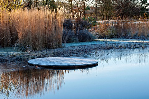 ELLICAR_GARDENS_NOTTINGHAMSHIRE_VIEW_ACROSS_NATURAL_SWIMMING_POOL_TO_GRASSES_AND_SEEDHEADS_IN_FROST_