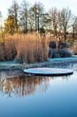 ELLICAR GARDENS, NOTTINGHAMSHIRE: VIEW ACROSS NATURAL SWIMMING POOL TO GRASSES AND SEEDHEADS IN FROST WITH REFLECTIONS. WINTER