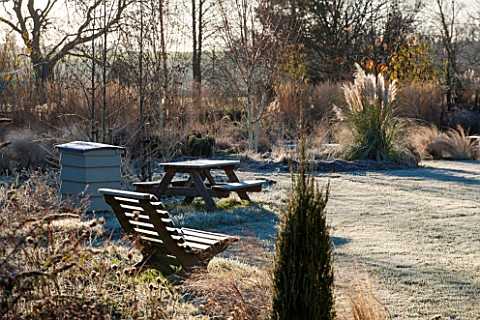 ELLICAR_GARDENS_NOTTINGHAMSHIRE_FRSOTY_LAWN_WITH_WOODEN_SEATS_AND_BEEHIVE_IN_FROST_WINTER