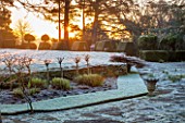 SEDGWICK PARK, WEST SUSSEX: WINTER SUNLIGHT ON MONTEREY PINES WITH BLOCKS OF YEW TOPIARY. FROSTY GRASS PATH. WINTER SCENE, GARDEN, JANUARY.