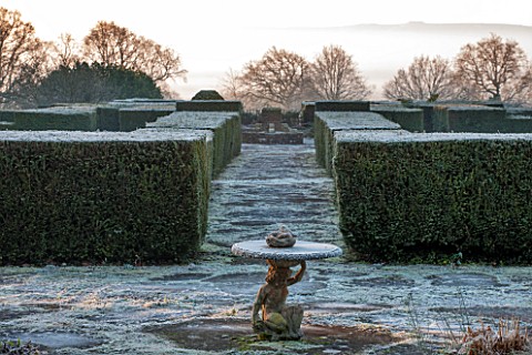 SEDGWICK_PARK_WEST_SUSSEX_CLIPPED_YEW_HEDGING_IN_FORMAL_GARDEN_WITH_BIRDTABLE_FROST_WINTER_JANUARY_P