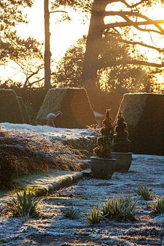 SEDGWICK_PARK_WEST_SUSSEX_WINTER_BLOCKS_OF_YEW_HEDGINGTOPIARY_BESIDE_THE_LONG_CANAL_WITH_TOPIARY_SPI