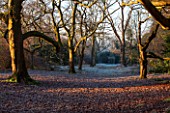 SEDGWICK PARK, WEST SUSSEX. BARE WINTER TREES IN WOODLAND WITH LEAF COVERED GROUND LEADS TO ORNATE METAL TREE SURROUND AND STONE SEATS. VIEW, VISTA, PATH, JANUARY.