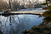 SEDGWICK PARK, WEST SUSSEX. THE LOWER POND IN WINTER. JANUARY, GARDEN, WATER, FROST