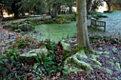 SEDGWICK PARK, WEST SUSSEX. POND COVERED IN DUCKWEED WITH FERNS AND WOODEN BENCH. A PLACE TO SIT. WINTER, JANUARY, GARDEN, WATER.