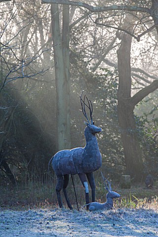 SEDGWICK_PARK_WEST_SUSSEX_WOODLAND_WITH_METAL_PATCHWORK_STAG_AND_FAWN_FROST_WINTER_JANUARY_GARDEN_SC
