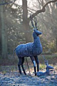 SEDGWICK PARK, WEST SUSSEX. WOODLAND WITH METAL PATCHWORK STAG AND FAWN. FROST, WINTER, JANUARY, GARDEN, SCULPTURE, STATUE