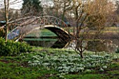CHIPPENHAM PARK, CAMBRIDGESHIRE: SHEETS OF SNOWDROPS BESIDE THE LAKE WITH THE BRIDGE IN THE BACKGROUND  -  WINTER
