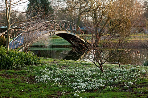 CHIPPENHAM_PARK_CAMBRIDGESHIRE_SHEETS_OF_SNOWDROPS_BESIDE_THE_LAKE_WITH_THE_BRIDGE_IN_THE_BACKGROUND