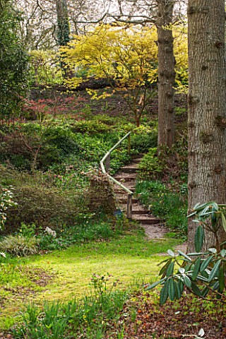 SPINNERS_GARDEN_AND_NURSERY_HAMPSHIRE_THE_WOODLAND_GARDEN_IN_SPRING