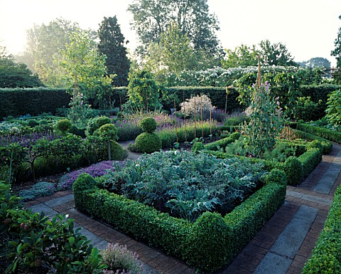 POTAGER_BOX_EDGED_BEDS_WITH_ORNAMENTAL_KALE__AND_SWEET_PEAS__OLD_RECTORY__NORTHAMPTONSHIRE