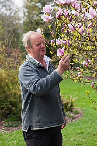 SPINNERS_GARDEN_AND_NURSERY_HAMPSHIRE_ANDREW_ROBERTS__OWNER_OF_SPINNERS_NURSERY_LOOKING_AT_MAGNOLIA_