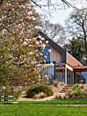 SPINNERS GARDEN AND NURSERY, HAMPSHIRE: THE HOUSE WITH MAGNOLIA PINKIE IN FULL BLOOM. TREE, SPRING, LAWN