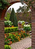 EAST RUSTON OLD VICARAGE GARDEN, NORFOLK: VIEW THROUGH BRICK DOORWAY TO THE KINGS WALK - CLIPPED TOPIARY YEW OBELISK, WALLFLOWERS AND TERRACOTTA CONTAINERS WITH WHITE TULIPS. FRAME
