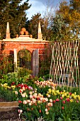EAST RUSTON OLD VICARAGE GARDEN, NORFOLK: CUTTING GARDEN WITH WALLS AND TULIPS IN BEDS - SPRING, FLOWERS, COUNTRY GARDEN, FLOWER, COLOURFUL