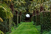 EAST RUSTON OLD VICARAGE GARDEN, NORFOLK: AVENUE OF CLIPPED TOPIARY QUERCUS ILEX - EVERGREEN OAK AND TRACHYCAROUS FORTUNEI WITH VIEW OF HAPPISBURGH LIGHTHOUSE. SPRING, FOCAL POINT