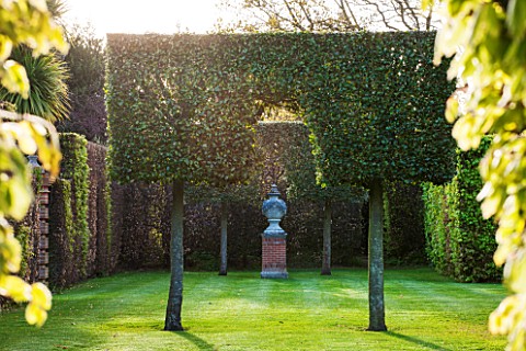EAST_RUSTON_OLD_VICARAGE_GARDEN_NORFOLK_CLIPPED_HORNBEAM_ON_STILTS_WITH_VIEW_TO_URN_ON_PEDESTAL___VI