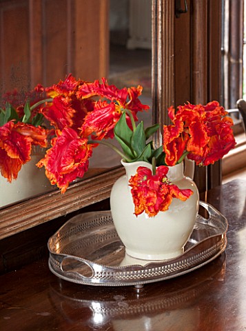 THE_LAND_GARDENERS_WARDINGTON_MANOR_OXFORDSHIRE_CREAM_CONTAINER_IN_WINDOWSILL_FILLED_WITH_TULIPS__TU