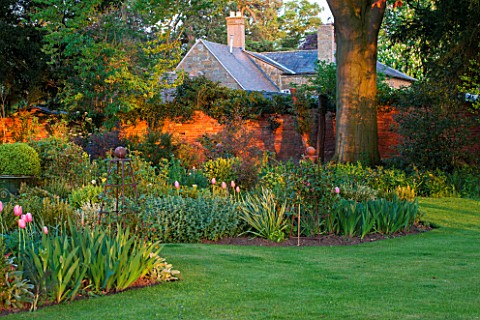 THE_OLD_VICARAGE_WORMLEIGHTON_WARWICKSHIRE_DESIGNER_ANGEL_COLLINS__LAWN_WITH_BEDS_WITH_TULIP_MENTON_