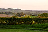 THE OLD VICARAGE, WORMLEIGHTON, WARWICKSHIRE: DESIGNER ANGEL COLLINS - VIEW OUT OF THE GARDEN OVER A HEDGE TO COTSWOLDS, EVENING LIGHT
