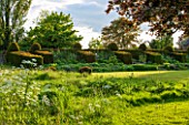 WARDINGTON MANOR, OXFORDSHIRE: THE LAND GARDENERS: LAWN IN SPRING WITH HUGE CLIPPED TOPIARY YEW HEDGES AND BUTTRESSES - MEADOW, CLASSIC GARDEN, COUNTRY GARDEN